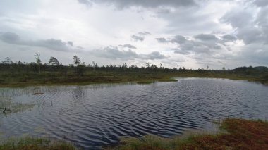 Nehir ve gölü olan güzel bir manzara.