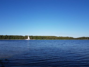Ormanın arka planında göl.