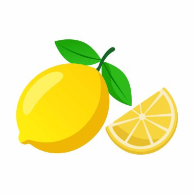Taze limon vektör çizim.