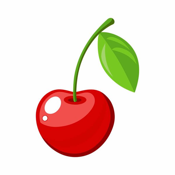 вишневый вектор высокого разрешения.