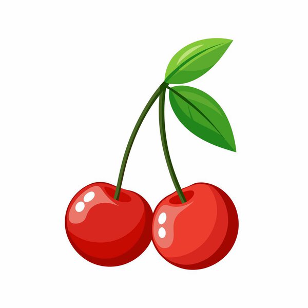 high resolution cherry vector artwork.