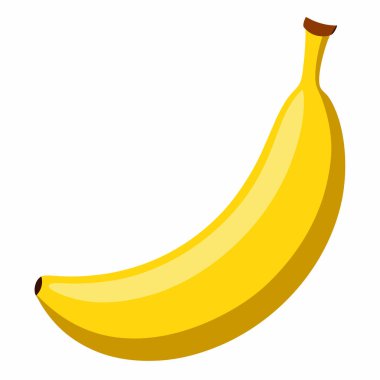 ayrıntılı muz illüstrasyonu, vektör muz meyve tasarımı.