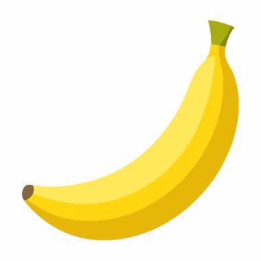 ayrıntılı muz illüstrasyonu, vektör muz meyve tasarımı.