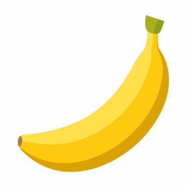 ayrıntılı muz illüstrasyonu, vektör muz meyve tasarımı.