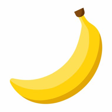 ayrıntılı muz illüstrasyonu, vektör muz meyve tasarımı.