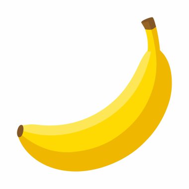 ayrıntılı muz illüstrasyonu, vektör muz meyve tasarımı.