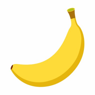 ayrıntılı muz illüstrasyonu, vektör muz meyve tasarımı.