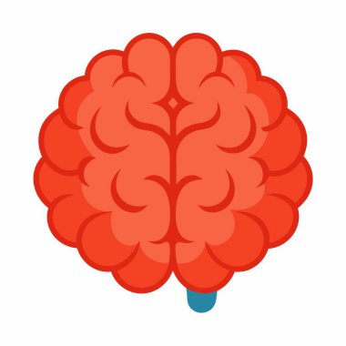 Ayrıntılı İnsan Beyni Vektör İllüstrasyonu, Nörobilim Beyin Diyagramı Vektörü.