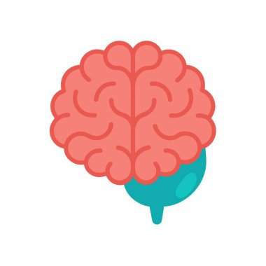 Ayrıntılı İnsan Beyni Vektör İllüstrasyonu, Nörobilim Beyin Diyagramı Vektörü.