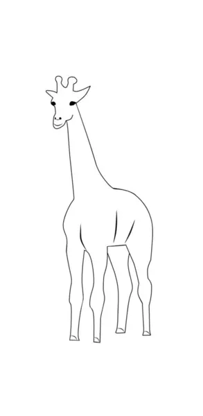 stock image Giraffe sketch without Color Vector Illustration