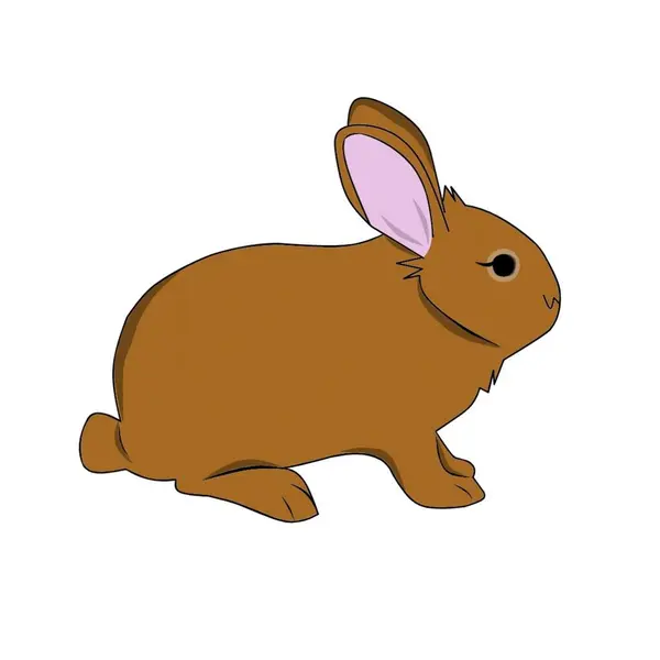 Renkli Vektör Resimli Tavşan