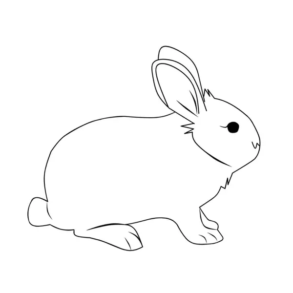 Tavşan çizimi Havuç Vektörü İllüstrasyonu