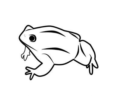 Renklendirme vektörü çizimi için kurbağa çizimi