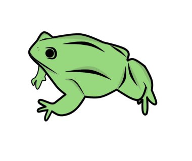Yeşil kurbağa vektör illüstrasyonu