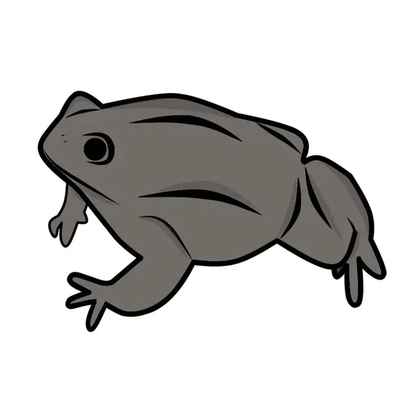 Kahverengi kurbağa vektör illüstrasyonu