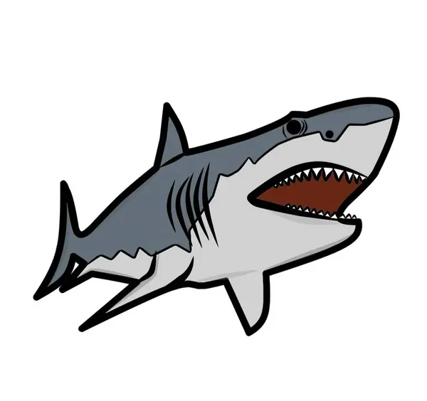 Renkli Vektör illüstrasyonlu köpekbalığı