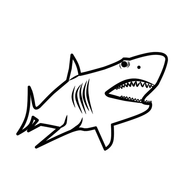 Renklendirme Vektörü illüstrasyonu için köpekbalığı çizimi
