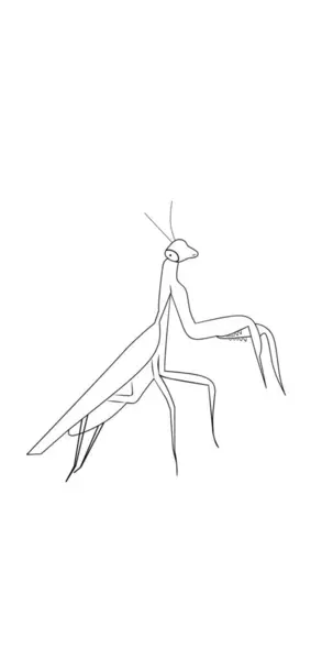 Peygamber devesi yan çizim vektör illüstrasyonundan dua ediyor