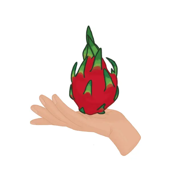 El ele tutuşun ejderha meyvesi beyaz arka plan çizgi filmi