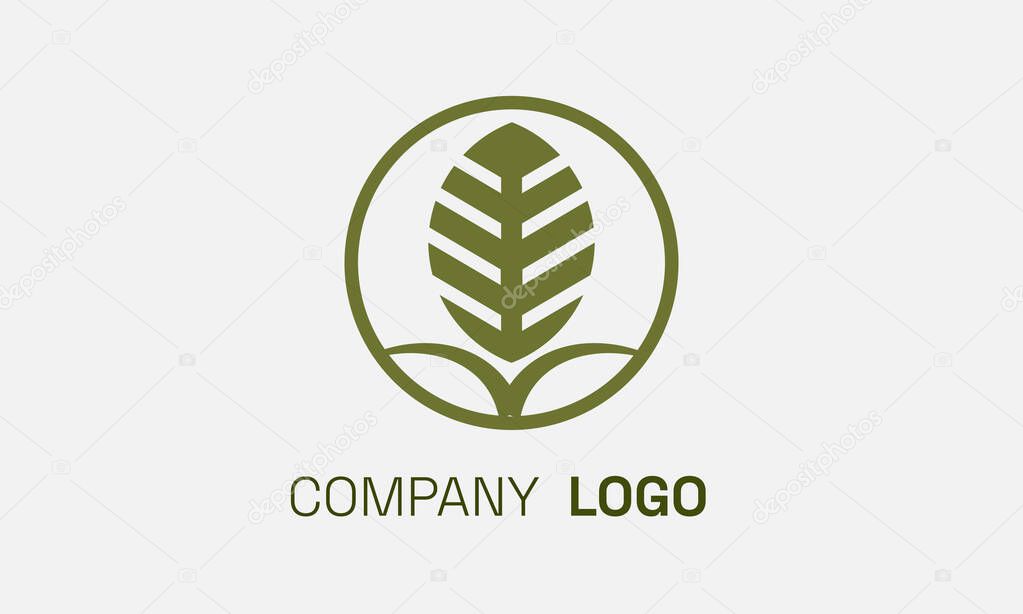 Wheat logo vector icon design illustration
