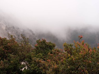 Sisli dağ ağaçlar ve kayalarla kaplıdır. Gökyüzü gri ve dağ bulutlarla kaplı.