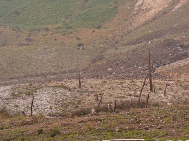 Birkaç ağaç ve birkaç kayayla ıssız bir arazi. Gökyüzü bulutlu ve güneş görünmüyor.