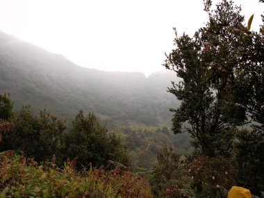 Bulutlu bir gökyüzü ve ağaçları olan bir dağ sırası.