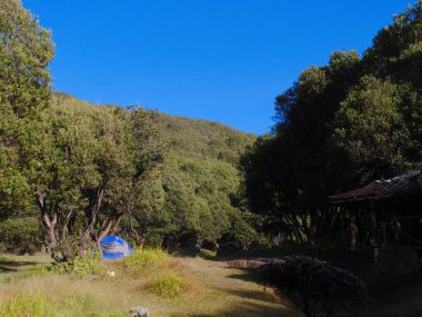 Çimenli bir alanda mavi bir çadır kurulur. Gökyüzü açık ve mavi, ağaçlar gür ve yeşildir. Sahne huzurlu ve huzurlu, sakin ve rahatlatıcı.