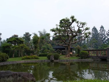 Göletli bir park ve banklı bir ağaç.