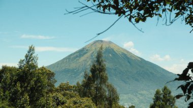 Arkasında yeşil orman olan bir dağ. Gökyüzü açık ve mavi. Dağ çok uzun ve görkemli.