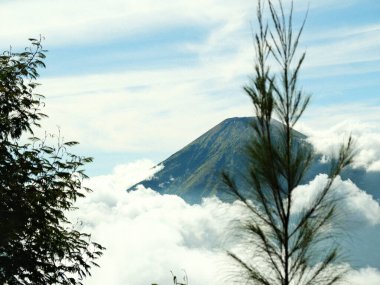 Uzakta bir dağ görünür ve ön planda bir ağaç vardır. Gökyüzü bulutlu ve atmosfer sakin.