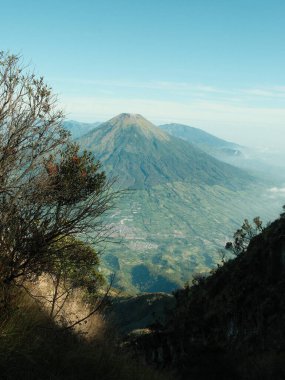 Uzakta bir şehir olan bir dağ sırası. Gökyüzü açık ve mavi. Ağaçlar çıplak ve dağ karla kaplı.