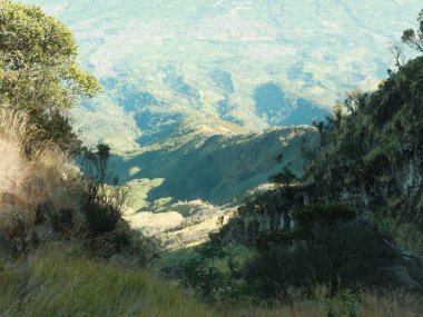 Arkasında orman olan bir dağ sırası. Ağaçlar uzun ve yeşildir. Gökyüzü mavi ve berrak
