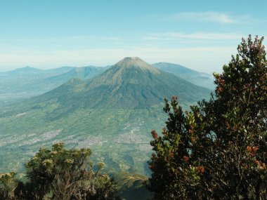 Uzakta bir şehir olan bir dağ sırası. Ağaçlar yeşil ve gökyüzü mavi.