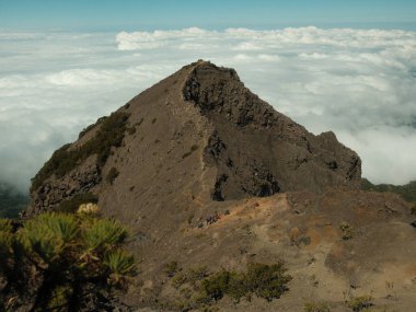 Kayalık bir tepesi ve birkaç ağacı olan bir dağ. Gökyüzü bulutlu ve dağ bulutlarla kaplı.