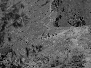 Bir grup insan kayalık bir tepede yürüyor. Tepe kayalar ve toprakla kaplı ve insanlar tüm bölgeye dağılmış durumda. Sahne bir macera ve keşiftir.