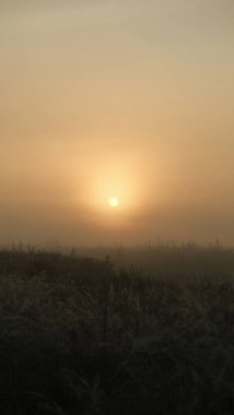 Uzun otların üzerinde batan güneşin bulanık bir fotoğrafı. Gökyüzü turuncu ve gri karışımı ve güneş daha yeni batmaya başlıyor.