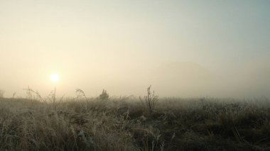 Gökyüzünde güneş olan sisli bir tarla
