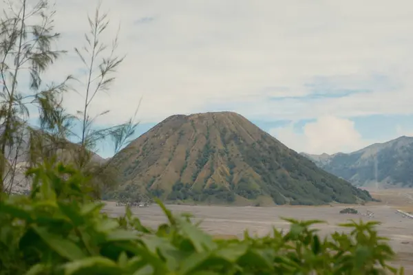 stock image A mountain with a green hillside and a cloudy sky. The mountain is covered in trees and the sky is overcast