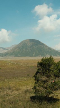 Önünde bir ağaç olan bir tarlanın arka planında bir dağ vardır. Gökyüzü mavi ve güneş parlıyor.