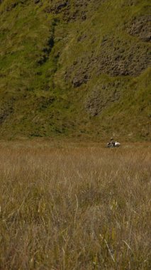 Motosiklet süren birkaç kişinin olduğu bir çim tarlası.