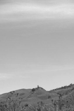 Ortasında ağaç olan bir dağ sırası. Gökyüzü bulutlu ve güneş parlıyor