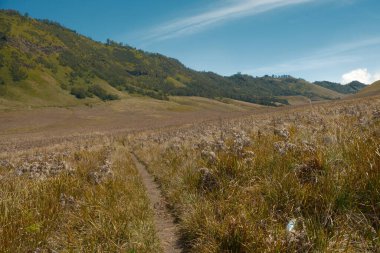 Üzerinde toprak yol olan uzun bir çim tarlası. Gökyüzü açık ve güneş parlıyor.