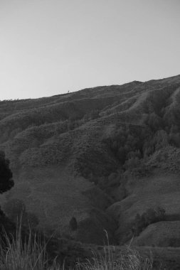 Önünde yalnız bir ağaç olan bir dağ sırası. Gökyüzü bulutlu ve güneş batıyor.