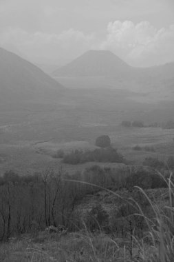Arkasında dağ olan ıssız bir manzara. Gökyüzü bulutlu ve atmosfer kasvetli.