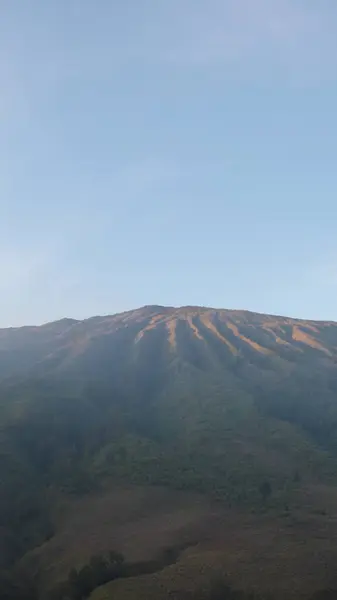 stock image A mountain with a clear blue sky in the background. The mountain is covered in trees and has a very peaceful and serene atmosphere