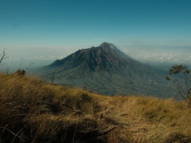 Bir dağ bir tarlanın arka planındadır. Gökyüzü açık ve mavi. Dağ ağaçlarla kaplı.