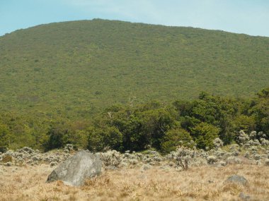 Arka planda tepe olan kayalık bir alan. Tepe ağaçlarla kaplı ve tarla kuru ve çorak.