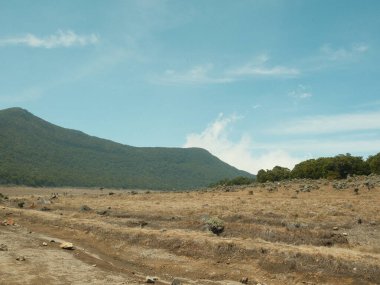 Birkaç ağacın etrafa saçıldığı ıssız, çorak bir arazi. Gökyüzü açık ve mavi, görünürde bulut yok.