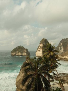 Palmiye ağaçları ve kayalık bir kıyı şeridi olan güzel bir sahil. Gökyüzü bulutlu ve su sakin.